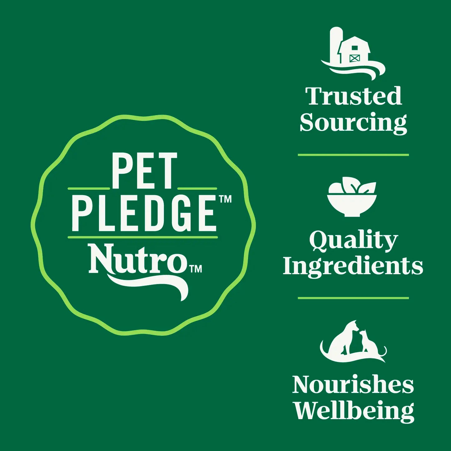 Ingredients info 3 of Nutro Wholesome Essentials Chicken & Brown Rice Early Development Kitten Dry Cat Food 5-lb