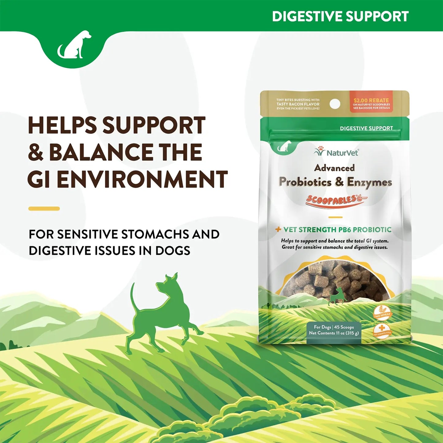 Info 1 of NaturVet Scoopables Advanced Probiotics & Enzymes for Dogs 45 Count 11-oz