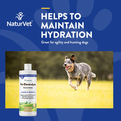 Info  1 of Front of NaturVet Pet Electrolyte Concentrate for Dogs & Cats 16-oz