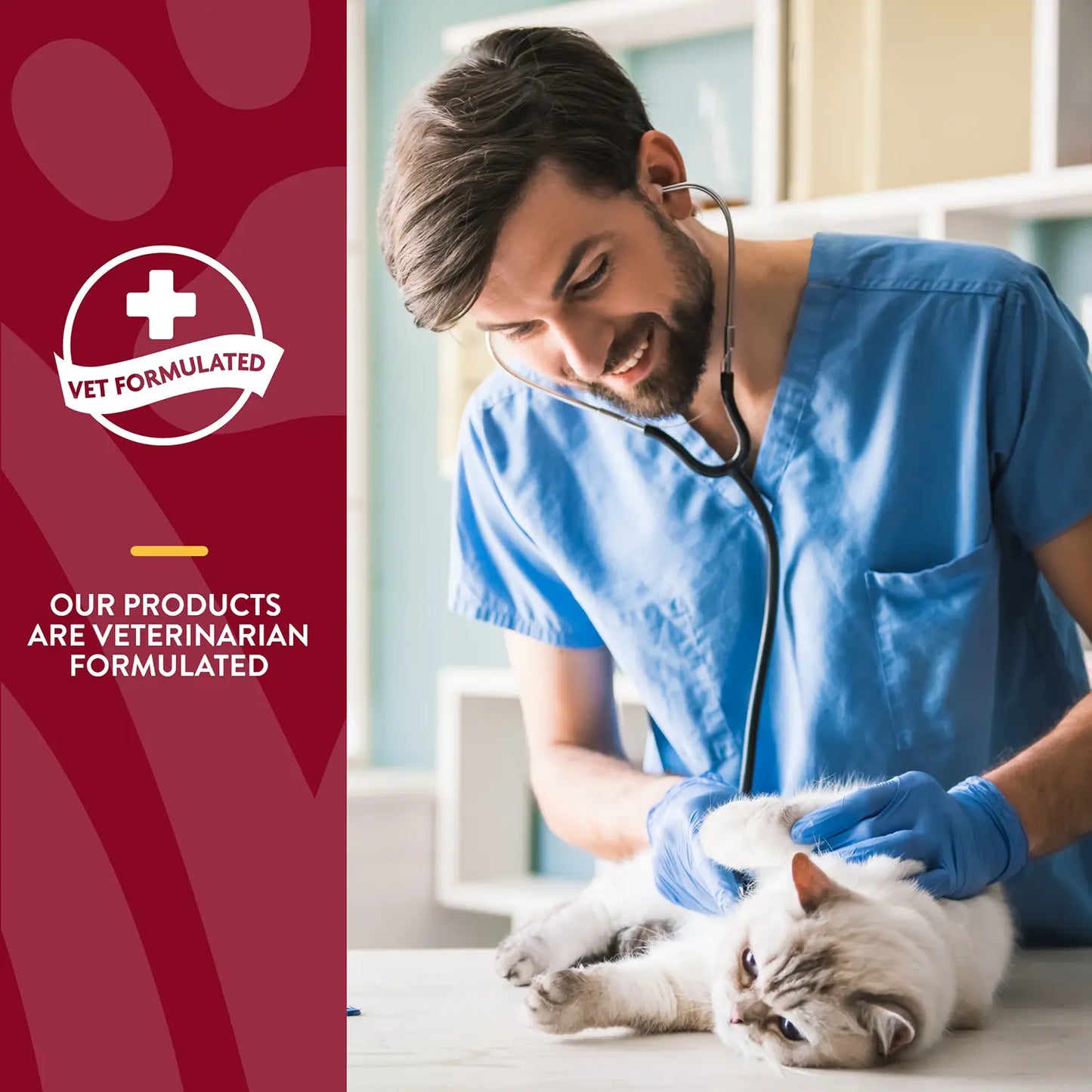 Product info 2 of NaturVet Cranberry Relief Plus Echinacea Soft Chews for Cats 60 Count 3.1-oz