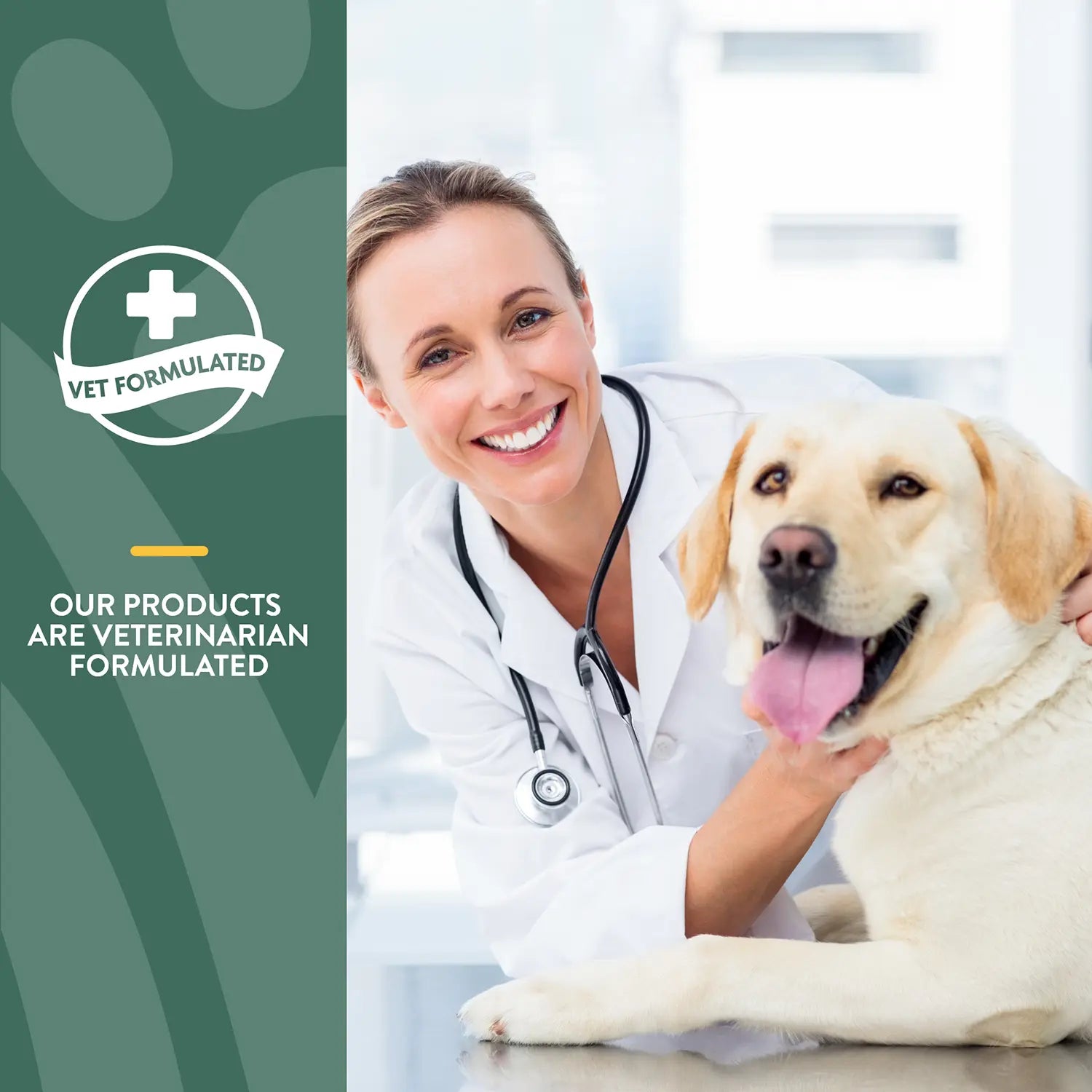 Info 1 of NaturVet Hemp Joint Health Soft Chews for Dogs 60 Count 6.3-oz