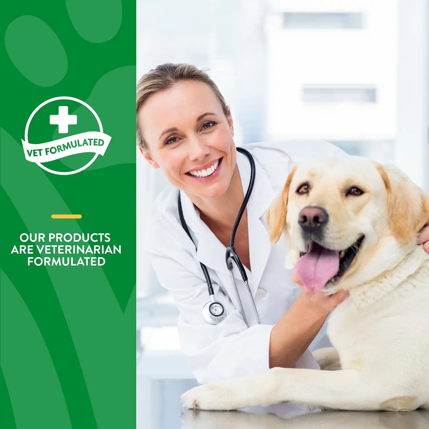 Product Info of NaturVet Advanced Probiotic & Enzymes Powder for Dogs & Cats 4-oz