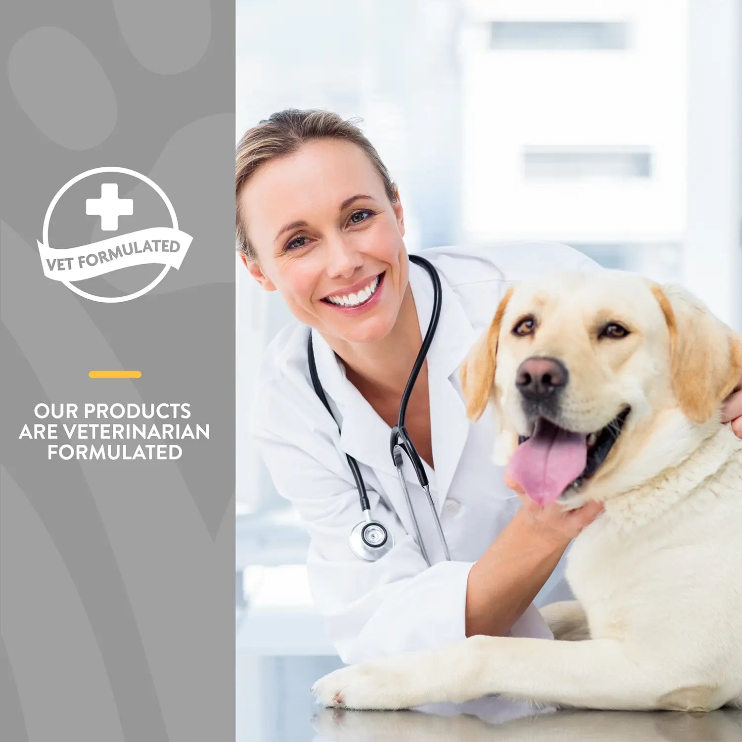 Product info of NaturVet Senior Advanced Gum & Breath Dog Soft Chews 45 Count 6.3-oz