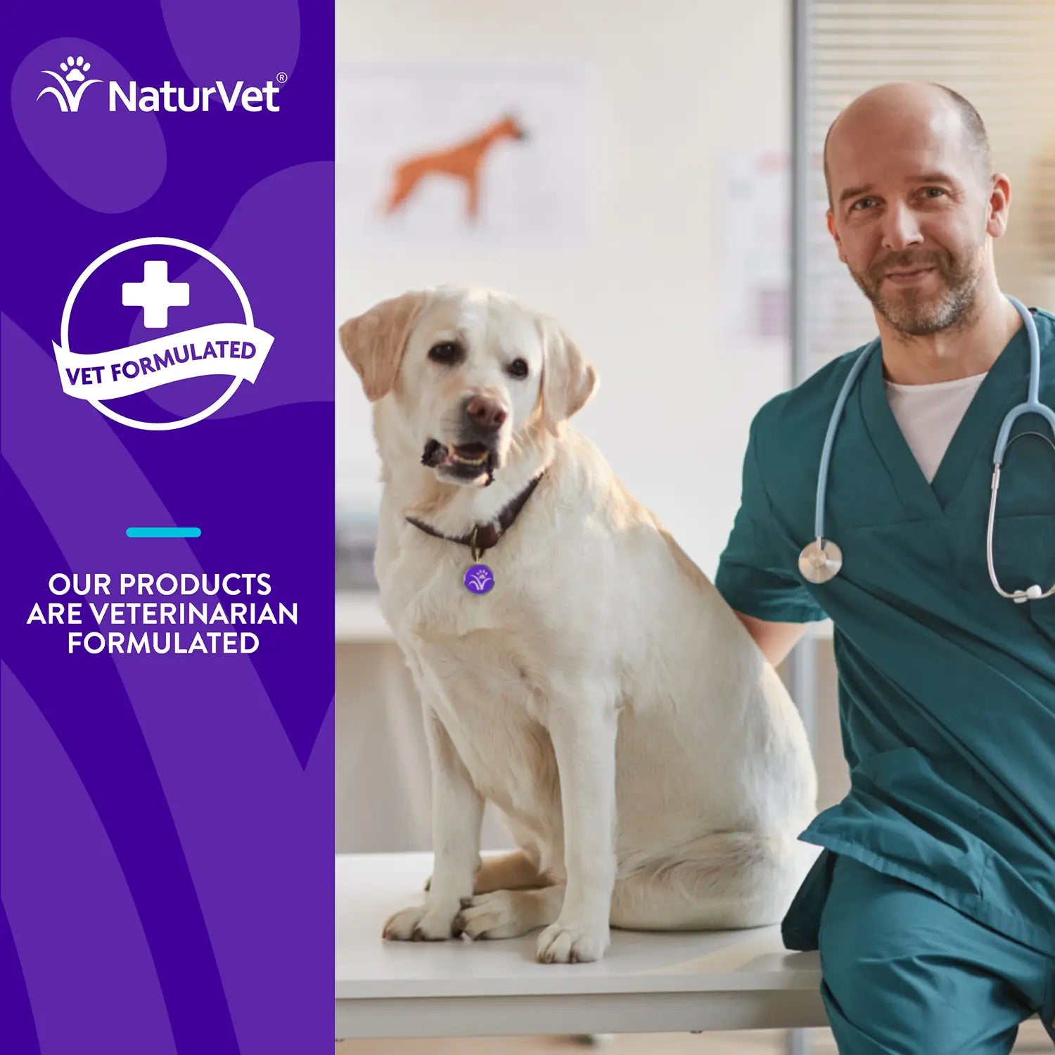 Info 2 of Evolutions by NaturVet All-in-One Plus Superfoods Soft Chews for Dogs 90 Count 7.9-oz