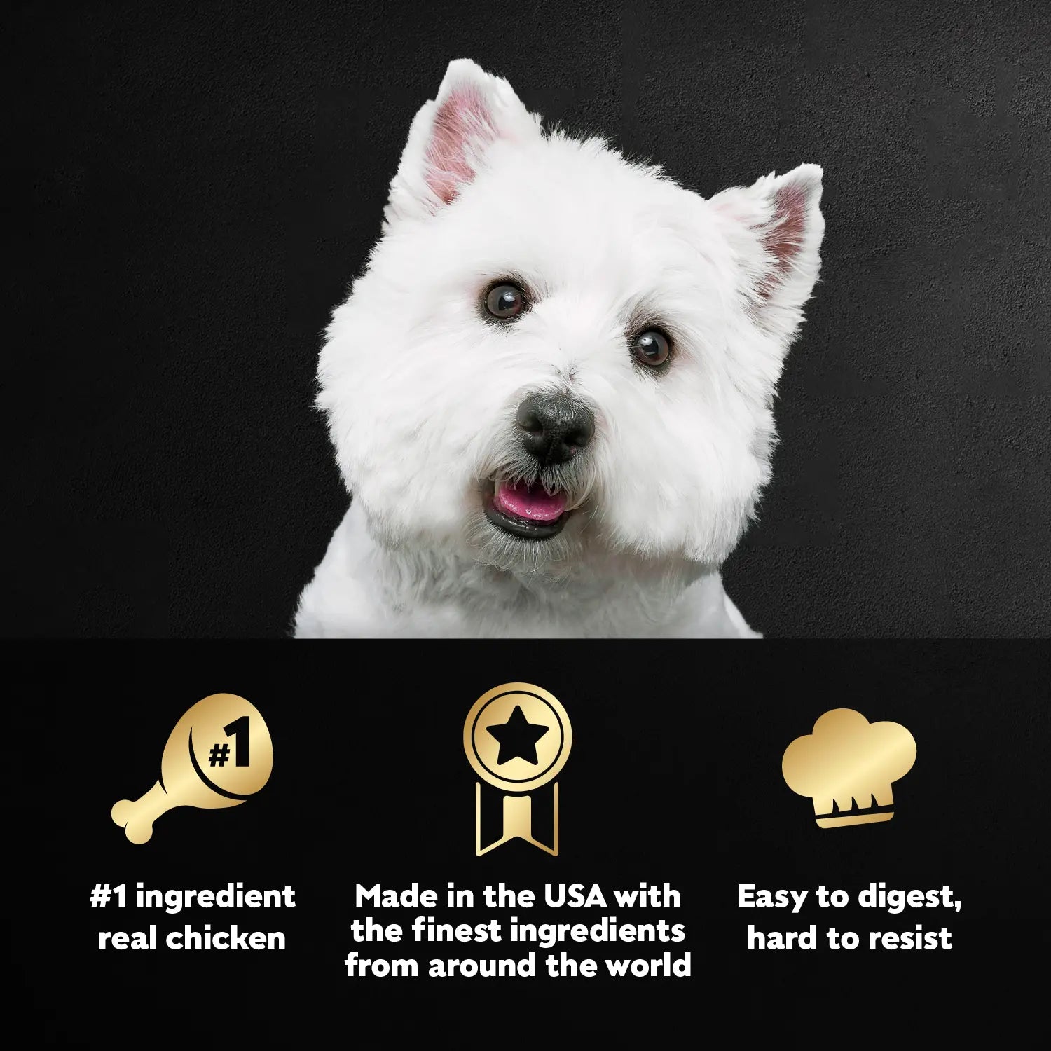 Product info of Cesar Classic Loaf in Sauce Adult Wet Dog Food Chicken & Liver 3.5-oz