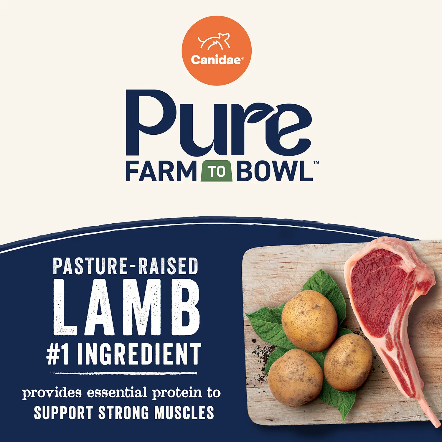 Product info of Canidae Pure Goodness Grain-Free Limited Ingredient Adult Dry Dog Food Lamb, Goat & Venison Meals Recipe 4-lb