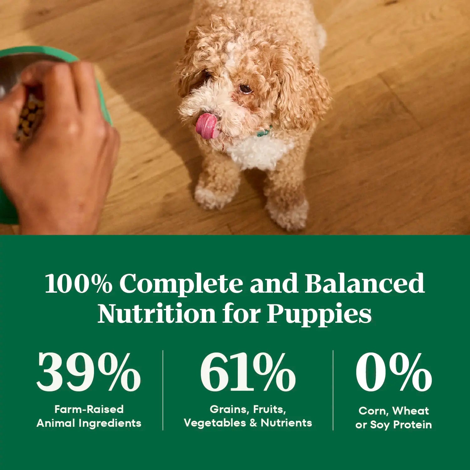 Ingredients info 2 of Nutro Natural Choice Lamb & Brown Rice Puppy Dry Food 4.5-lb