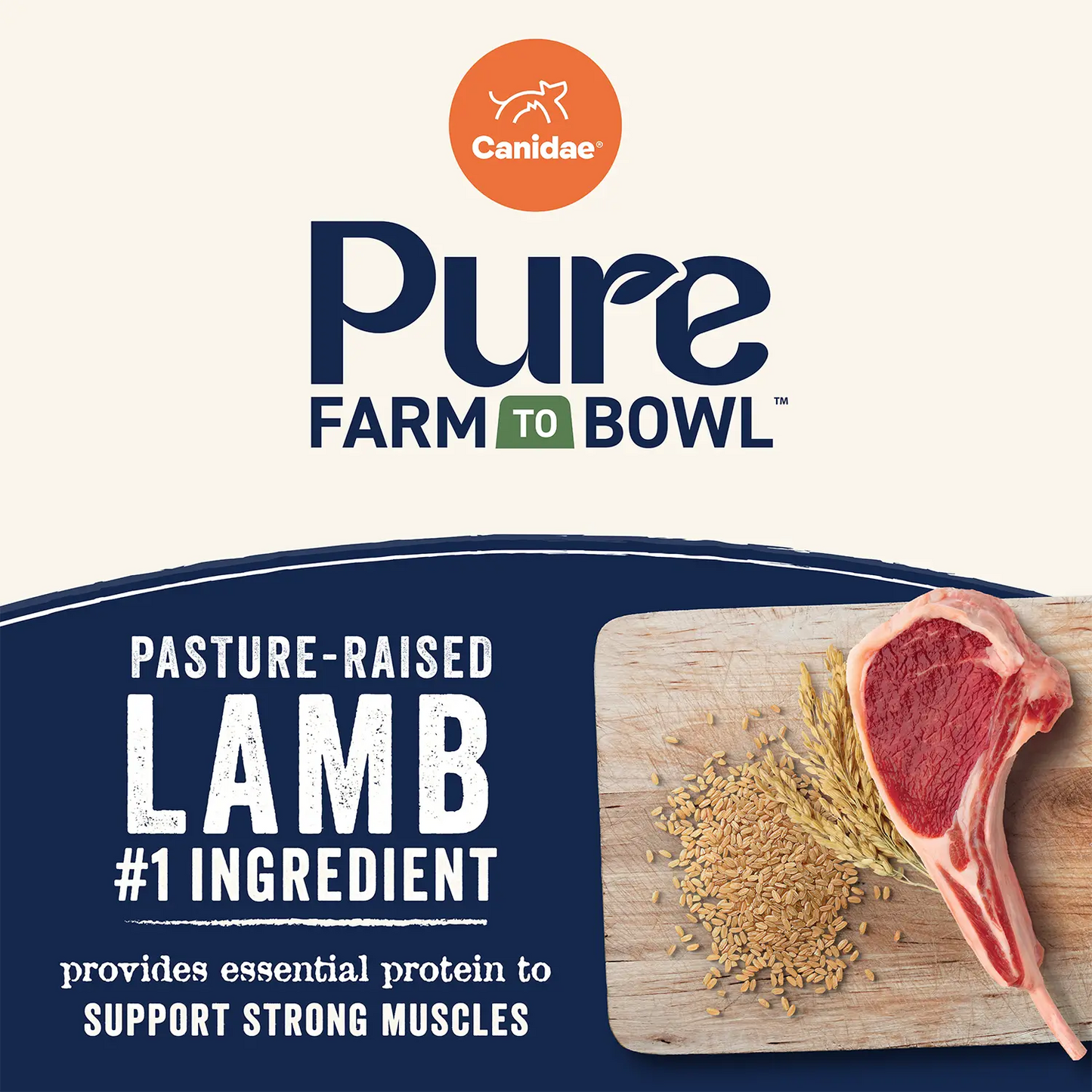Product info of Canidae Pure Goodness Wholesome Grains Adult Dry Dog Food Real Lamb & Brown Rice Recipe 4-lb