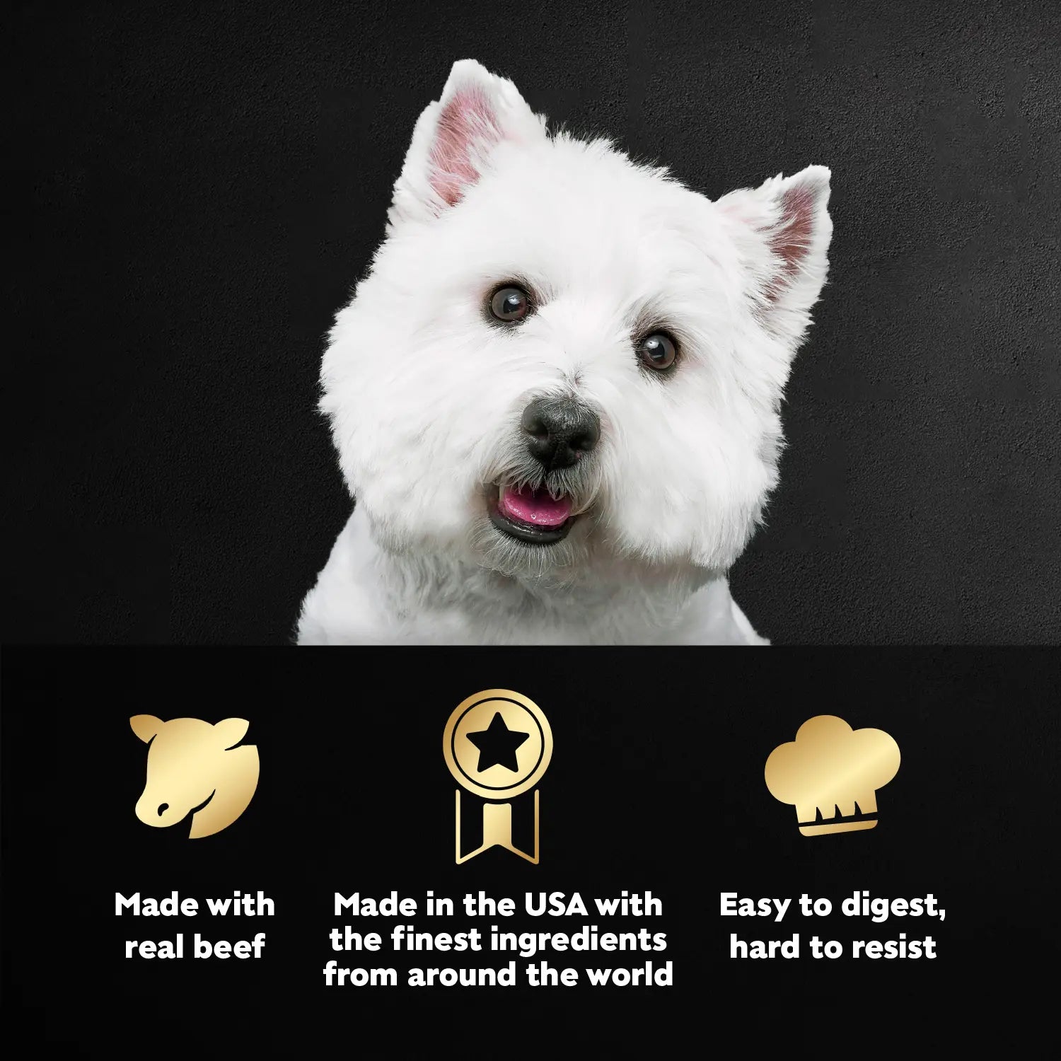 Product info of Cesar Filets in Gravy Adult Wet Dog Food Variety Pack Prime Rib, Filet Mignon, New York Strip 24 Count 3.5-oz