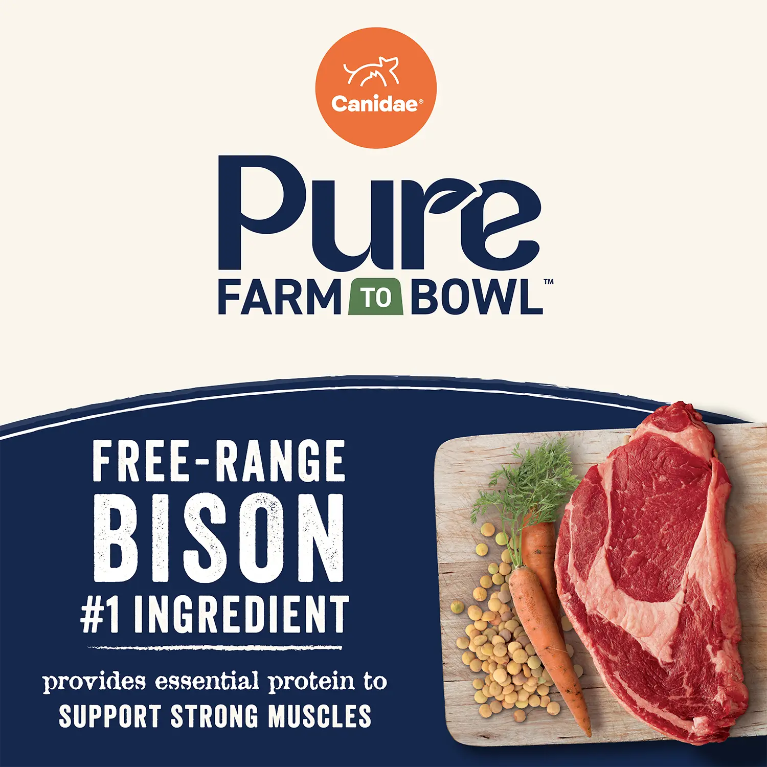 Product info of Canidae Pure Goodness Grain-Free Limited Ingredient Adult Dry Dog Food Real Bison, Lentil & Carrot Recipe 10-lb