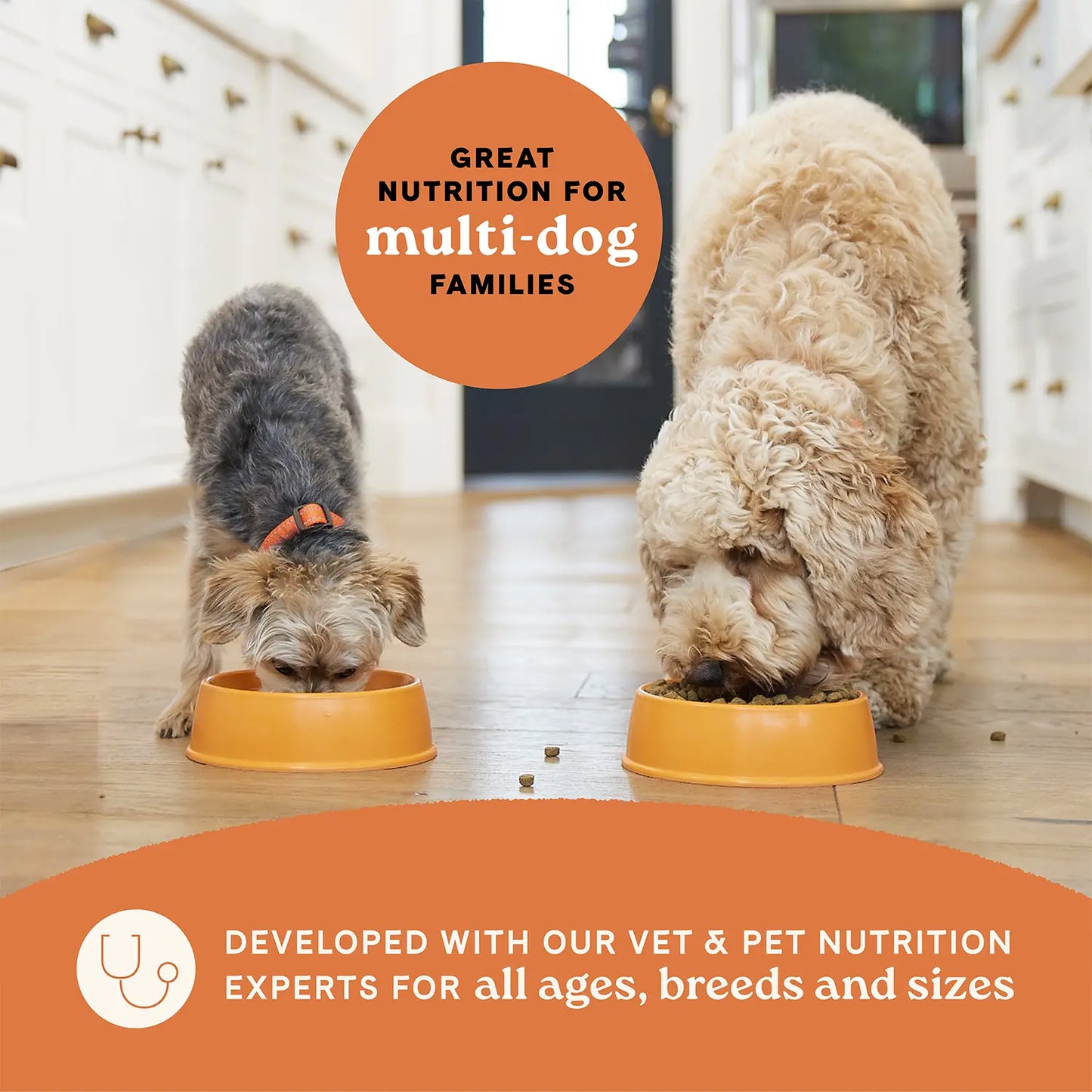 Product info of Canidae All Life Stages Dry Dog Food Real Lamb & Ancient Grains Recipe 5- lb