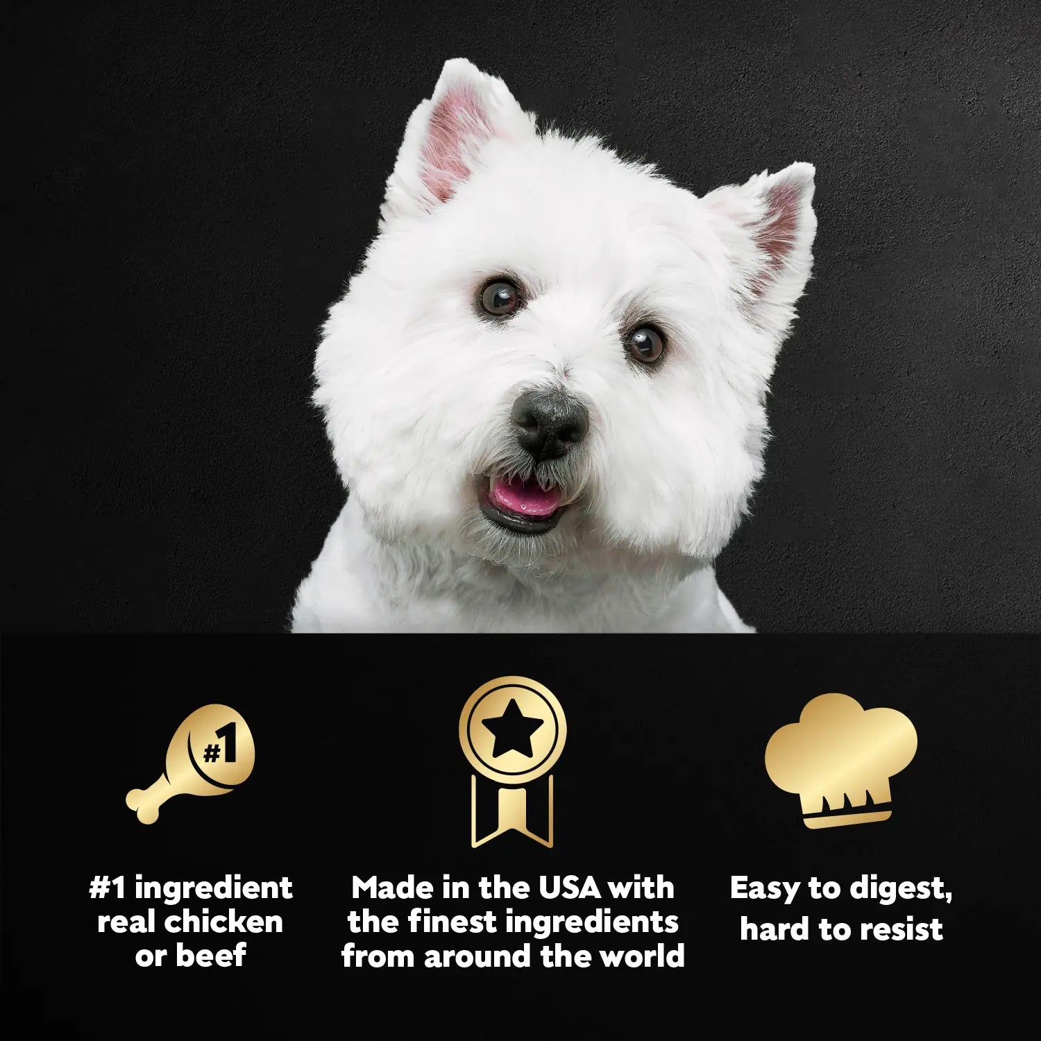 Product info of Cesar Loaf & Topper in Sauce Adult Wet Dog Food Variety Pack Rotisserie Chicken, Filet Mignon 12 Count 3.5-oz