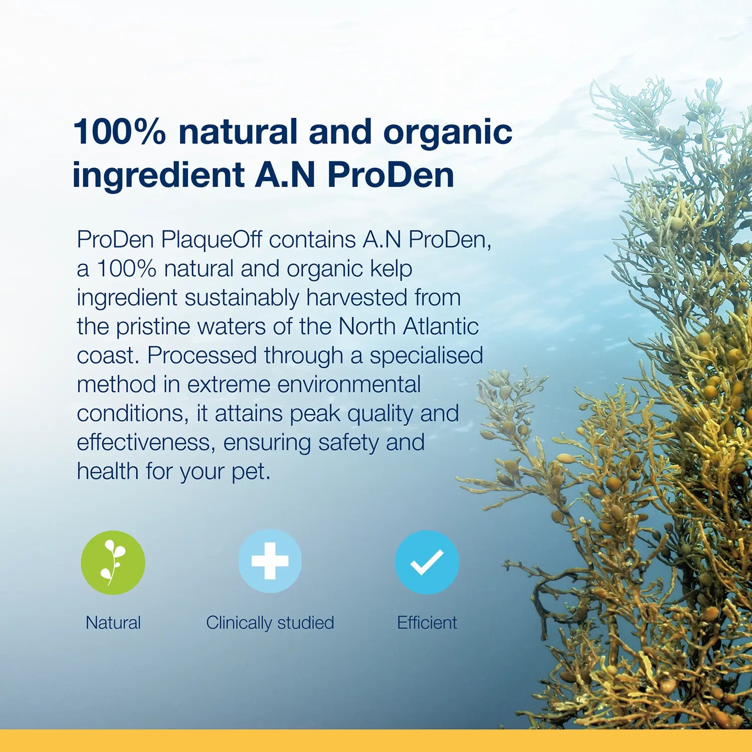 Info of NaturVet Proden PlaqueOff Powder for Cats 40g