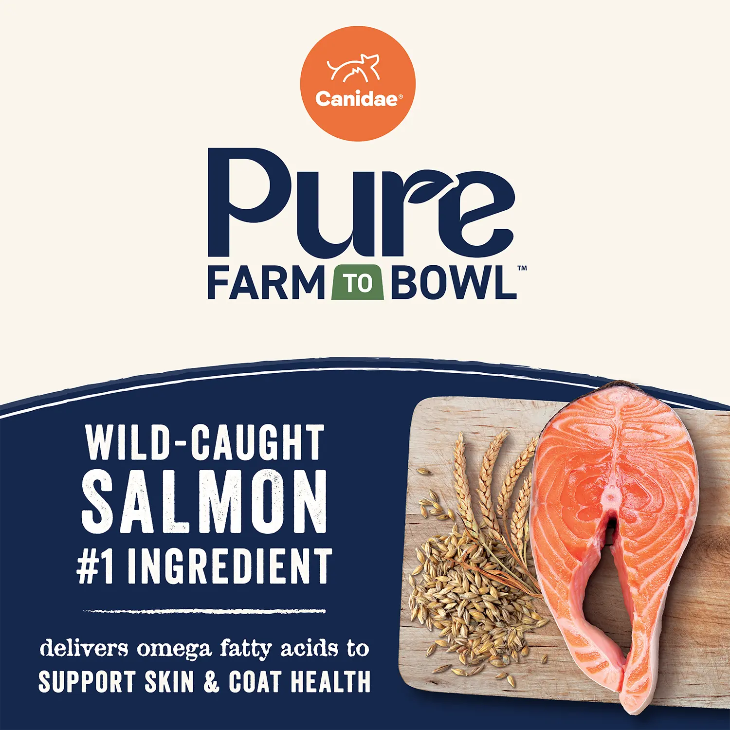Product info of Canidae Pure Goodness Wholesome Grains Adult Dry Dog Food Real Salmon & Barley Recipe 4-lb