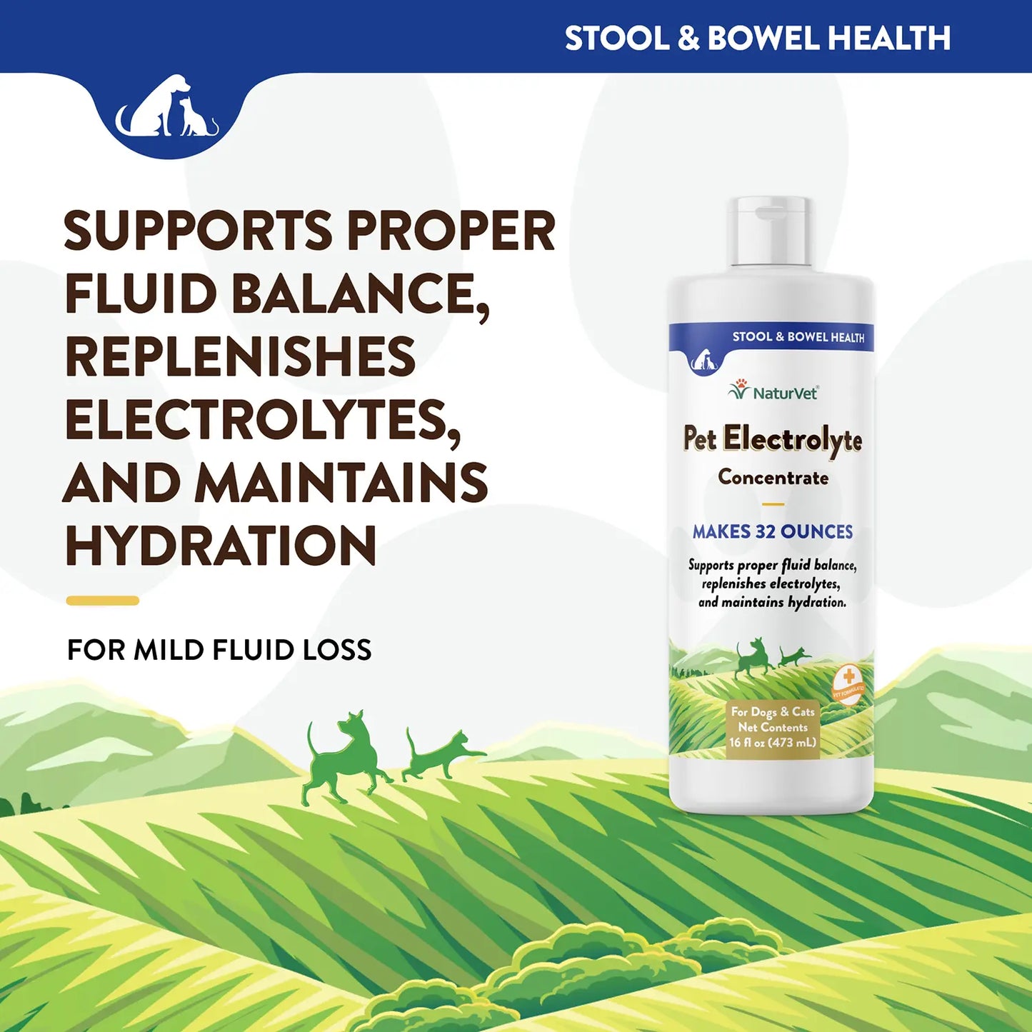 Info of Front of NaturVet Pet Electrolyte Concentrate for Dogs & Cats 16-oz