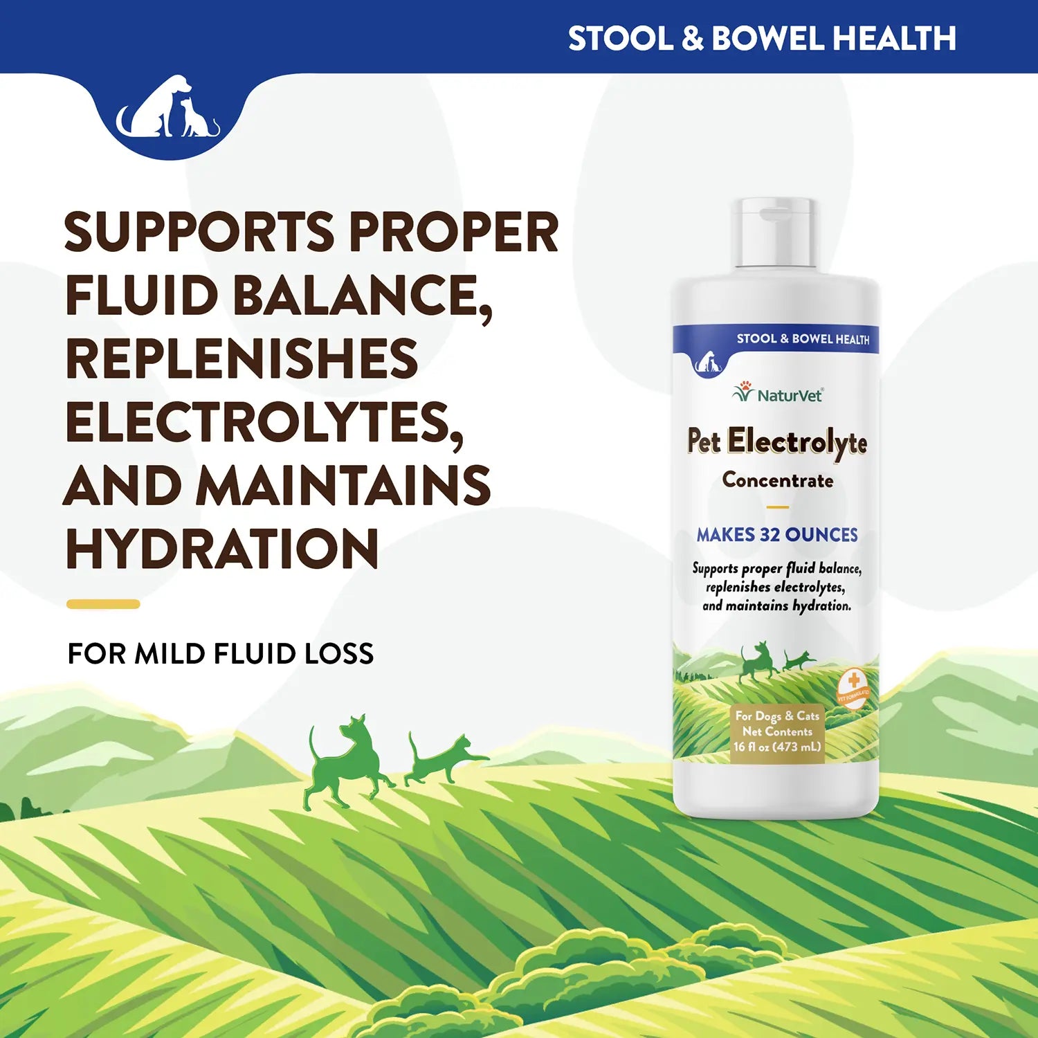Info of Front of NaturVet Pet Electrolyte Concentrate for Dogs & Cats 16-oz