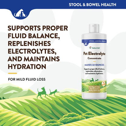 Info of Front of NaturVet Pet Electrolyte Concentrate for Dogs & Cats 16-oz