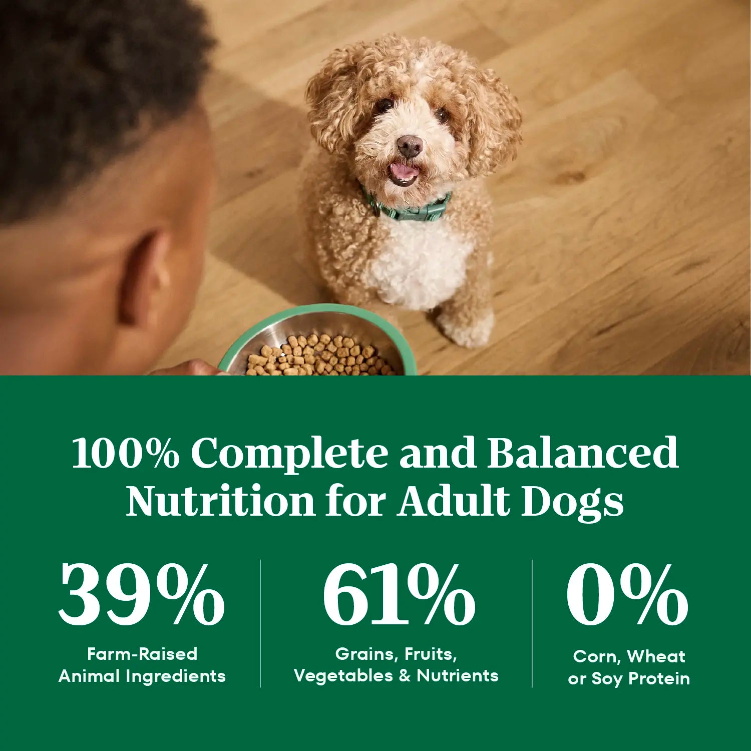 Ingredients info 2 of Nutro Natural Choice Lamb & Brown Rice Small Bites Adult Dry Dog Food 5-lb