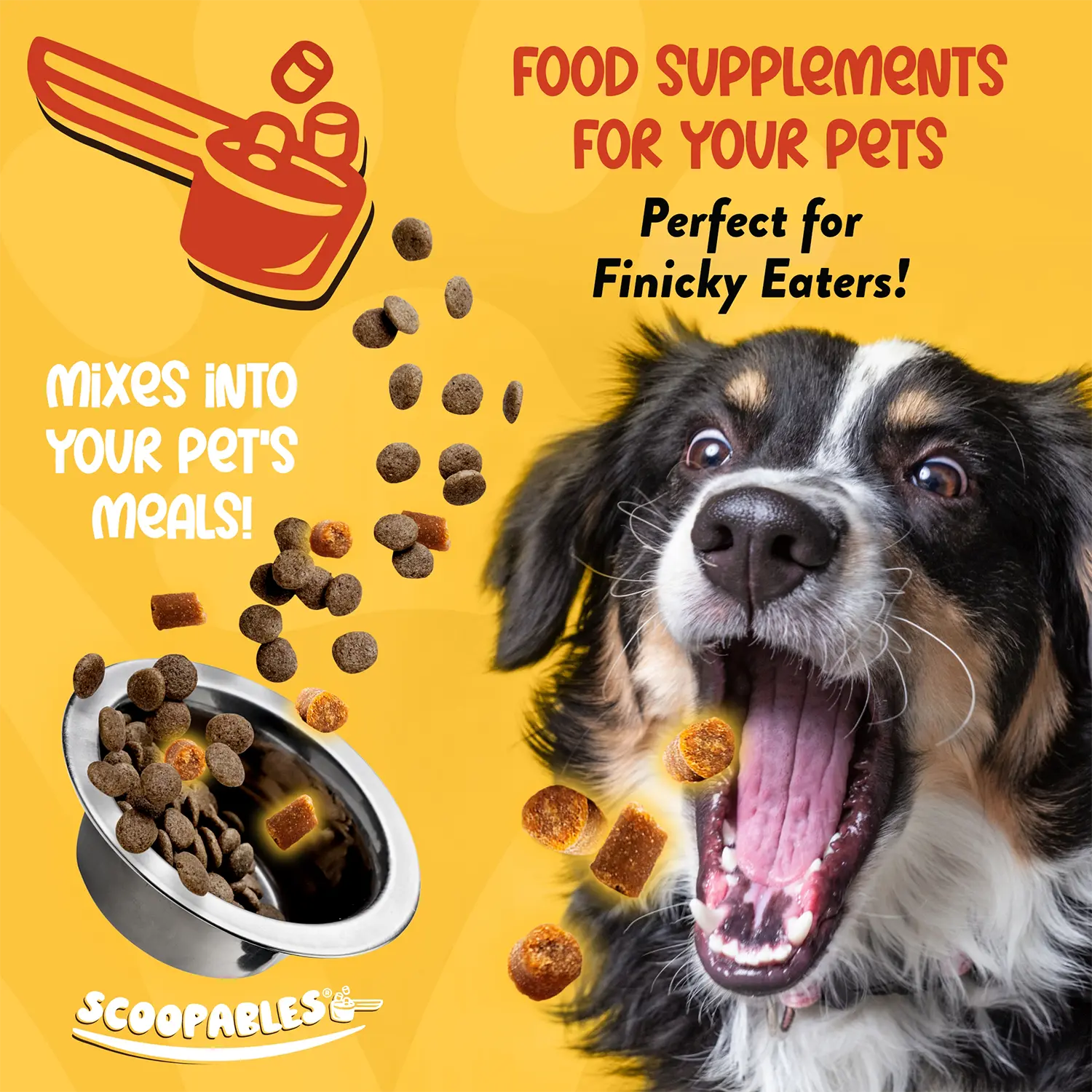 Ingredients info 2 of NaturVet Scoopables Advanced Probiotics & Enzymes for Dogs 45 Count 11-oz
