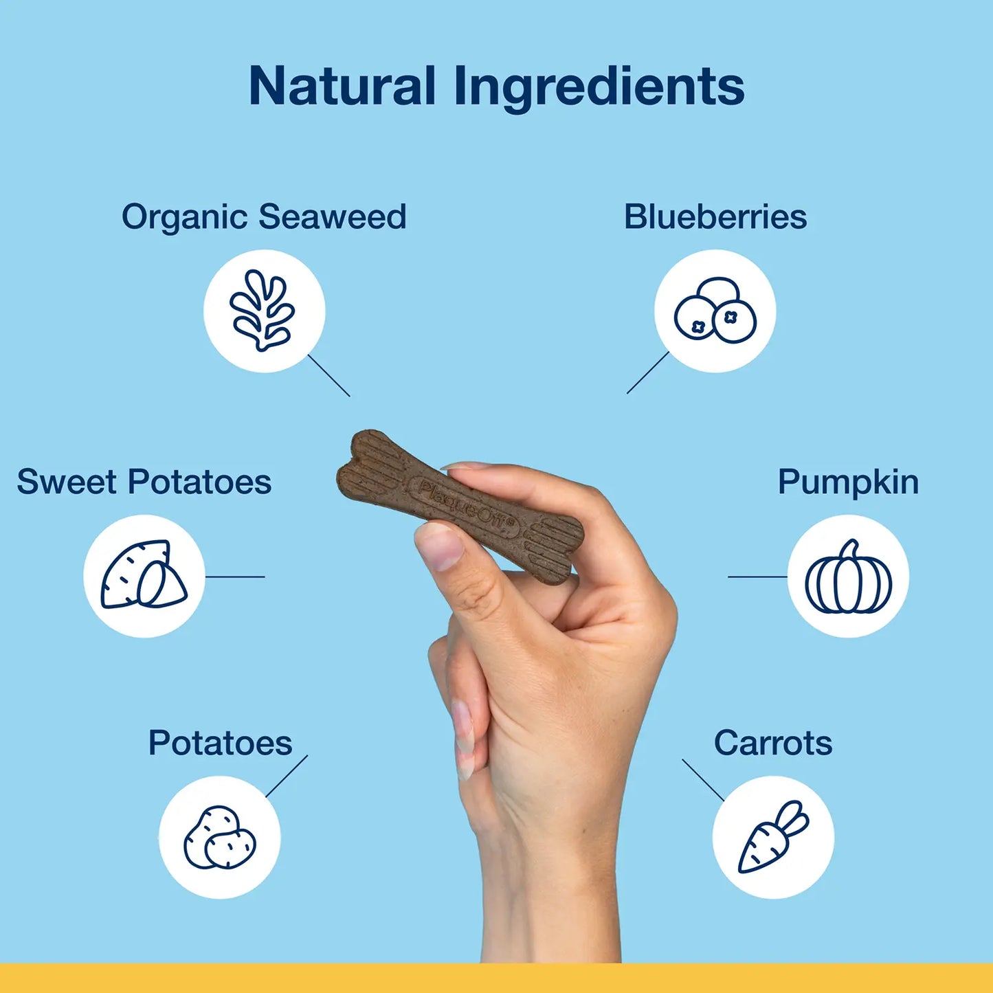 Ingredients info of NaturVet Proden PlaqueOff System Dental Care Mini Dog Bones Vegetable Fusion & Blueberry 20 Count 12-oz