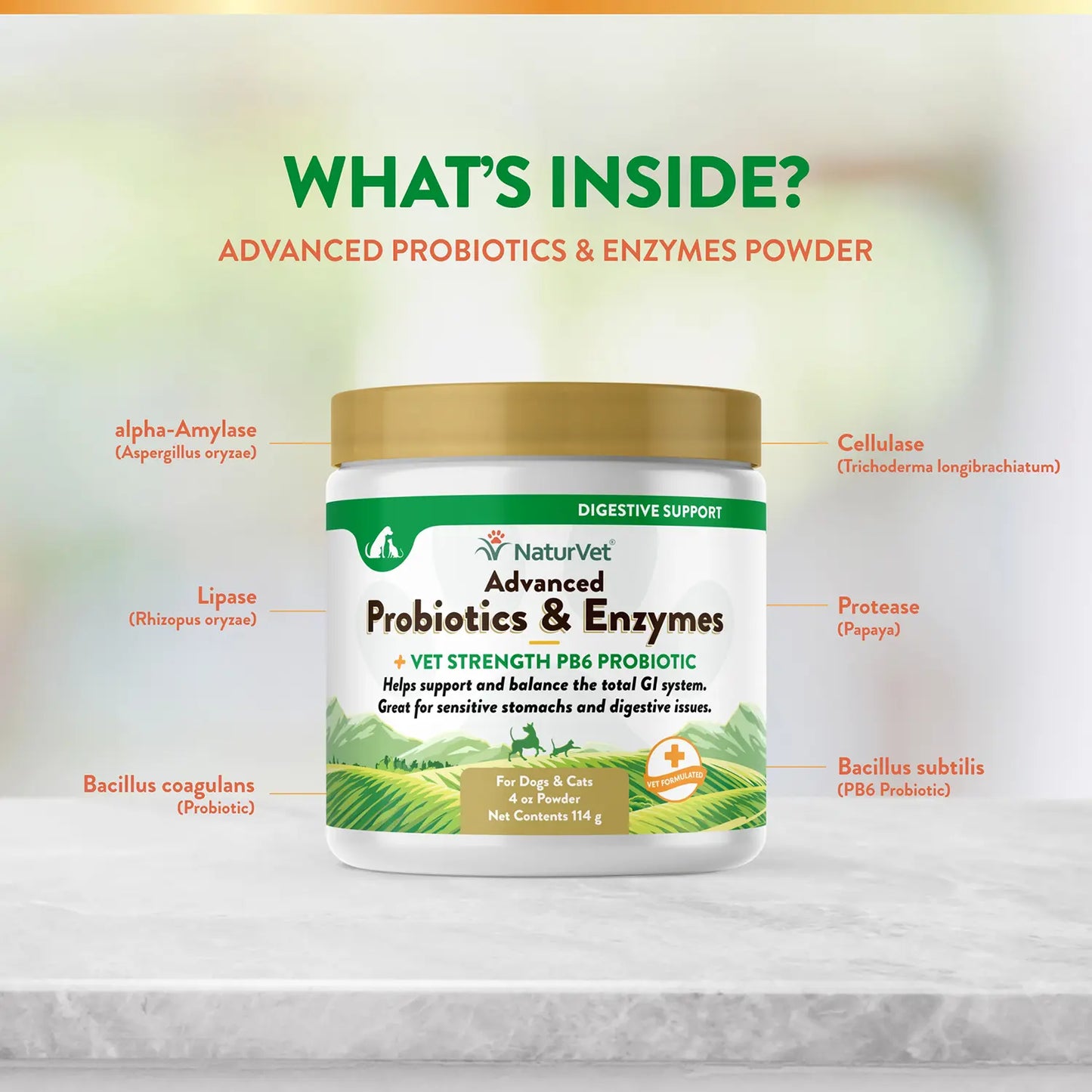 Ingredients info of NaturVet Advanced Probiotic & Enzymes Powder for Dogs & Cats 4-oz