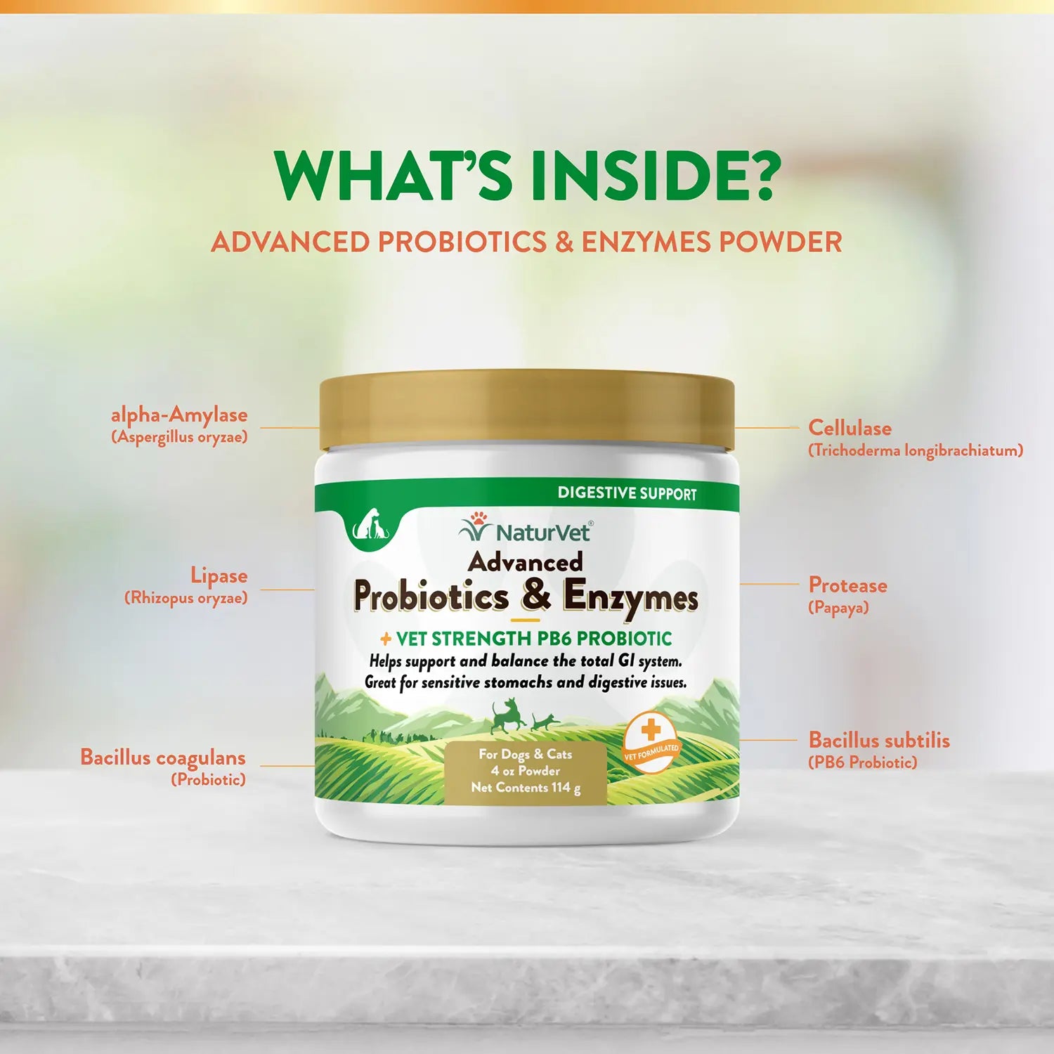 Ingredients info of NaturVet Advanced Probiotic & Enzymes Powder for Dogs & Cats 4-oz