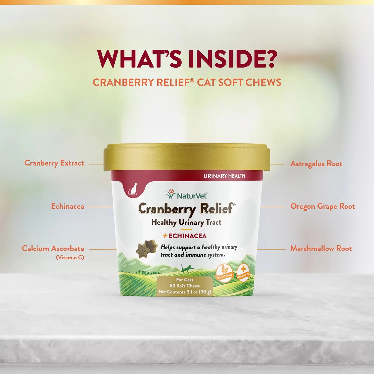 Ingredients info of NaturVet Cranberry Relief Plus Echinacea Soft Chews for Cats 60 Count 3.1-oz