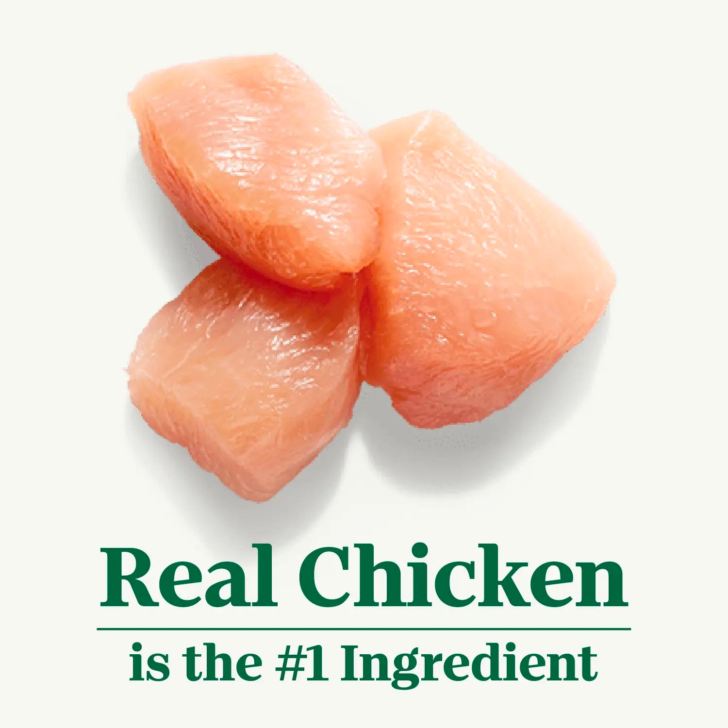 Ingredients info of Nutro Wholesome Essentials Chicken & Brown Rice Recipe Senior Dry Cat Food 5-lb