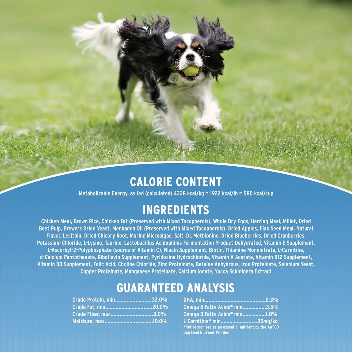 Ingredients & Guaranteed-Analysis of Annamaet Original Small Breed Dry Dog Food Chicken Meal & Brown Rice Formula 4-lb