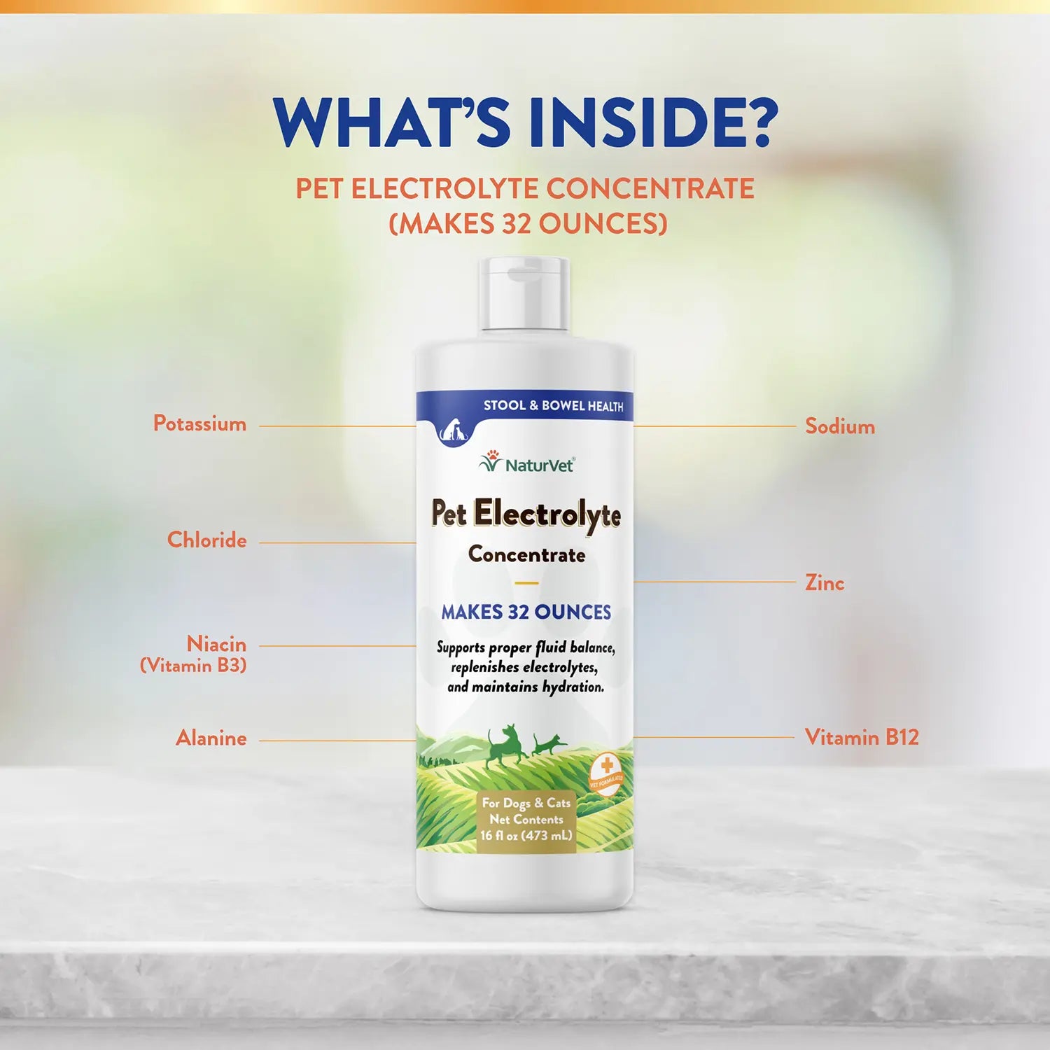 Ingredients info of NaturVet Pet Electrolyte Concentrate for Dogs & Cats 16-oz