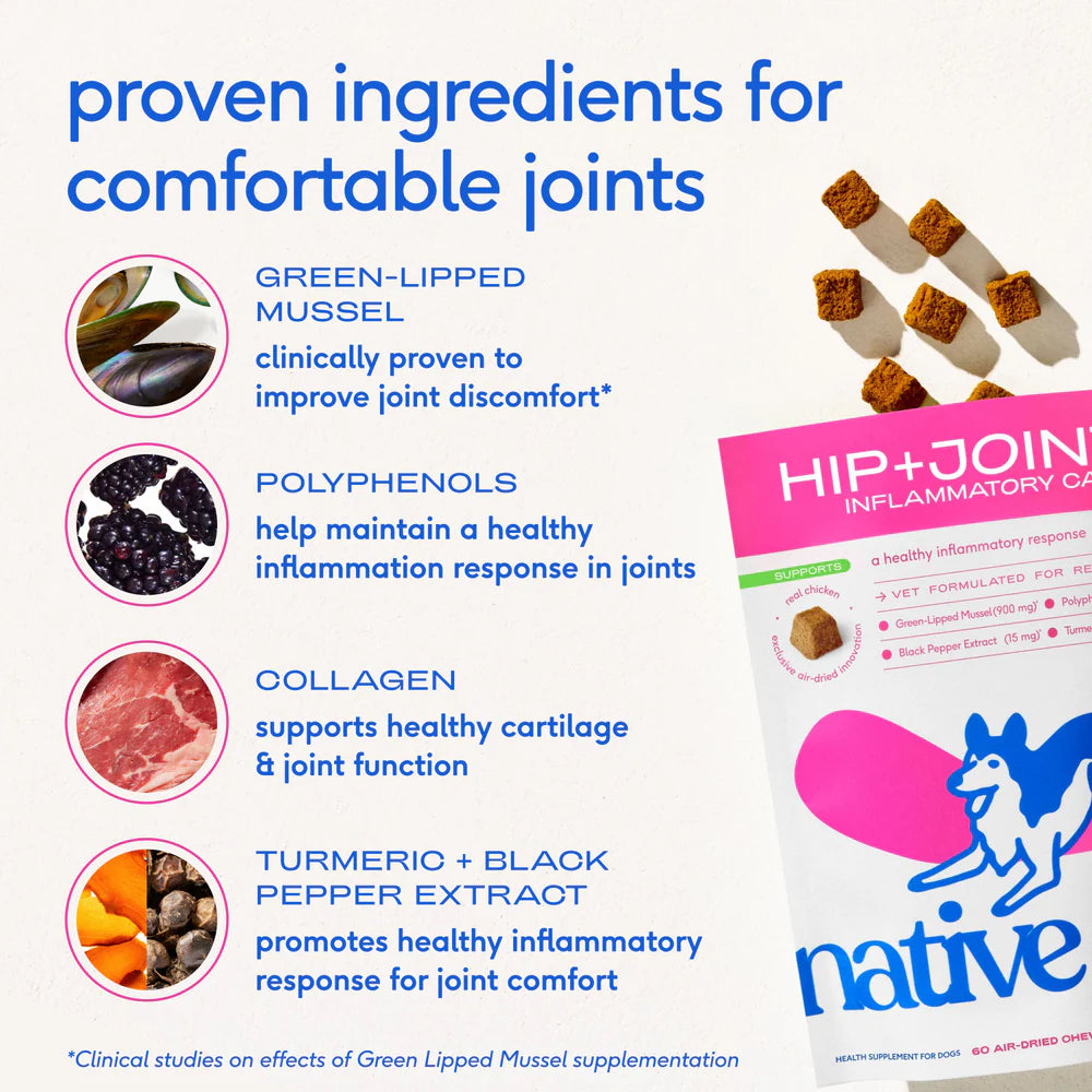 Native Pet Hip & Joint Inflammatory Care Chews Supplement for Dogs 30 Count, Kwik Pets