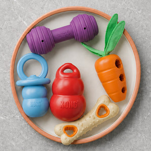 Interactive Toys