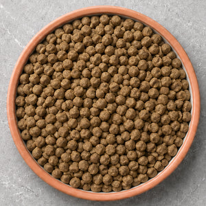Kitten Food