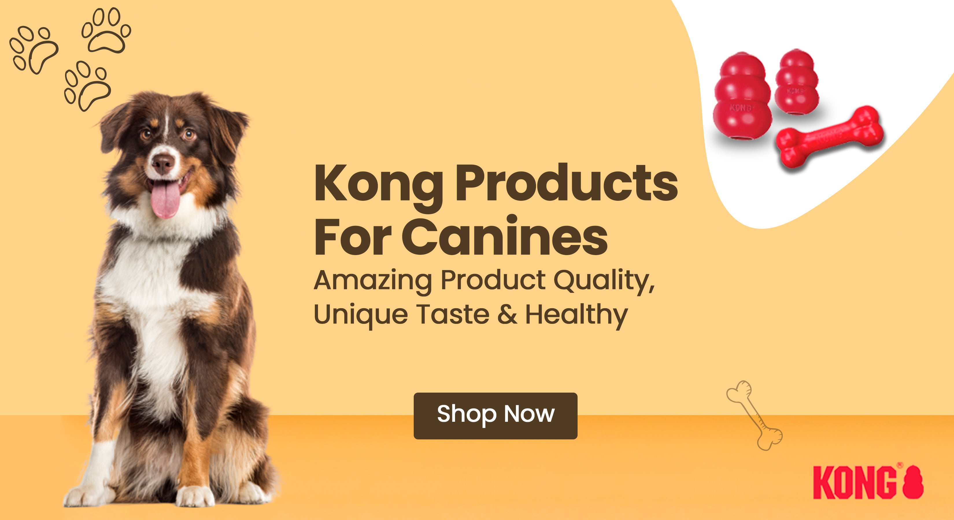 Kong sales pet products