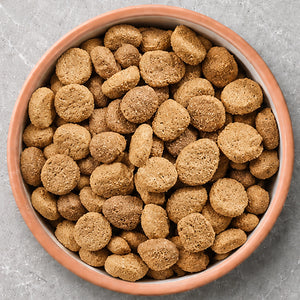 Large Breed Dog Food