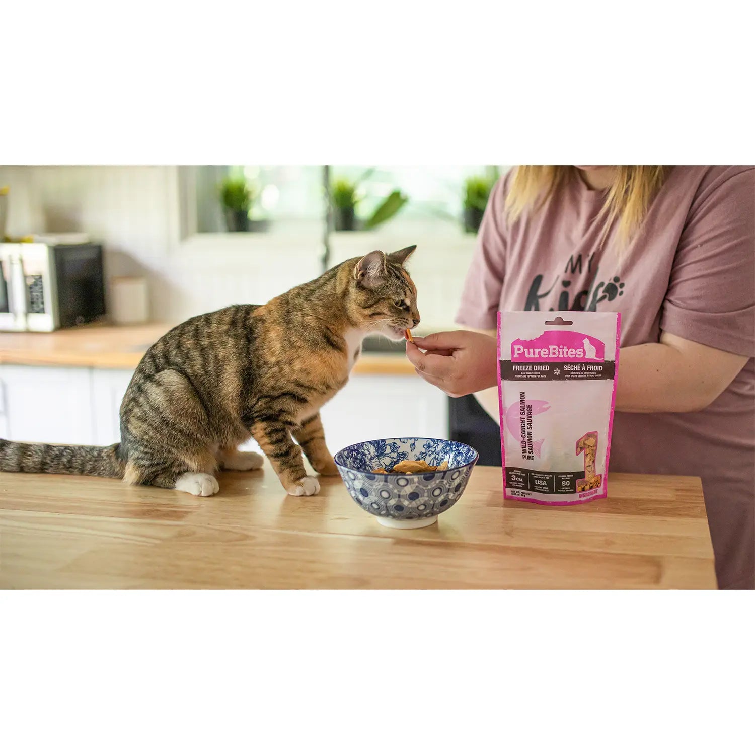 LifeStyle 1 of PureBites Wild Pacific Salmon Freeze-Dried Cat Treats 0.92-oz