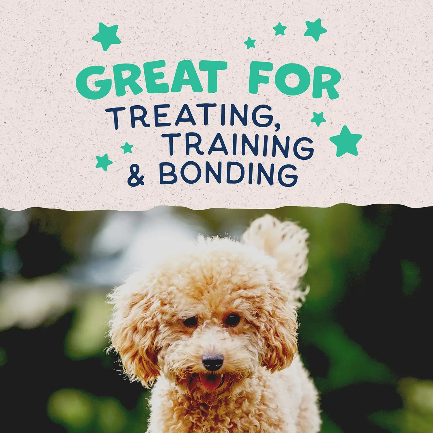 LifeStyle of Natural Balance Pet Foods Rewards Minis Soft & Meaty Dog Treats Chicken 5.3-oz
