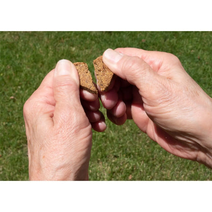 Darford Zero/G Grain-Free Roasted Lamb Dog Treats 12-oz, Kwik Pets