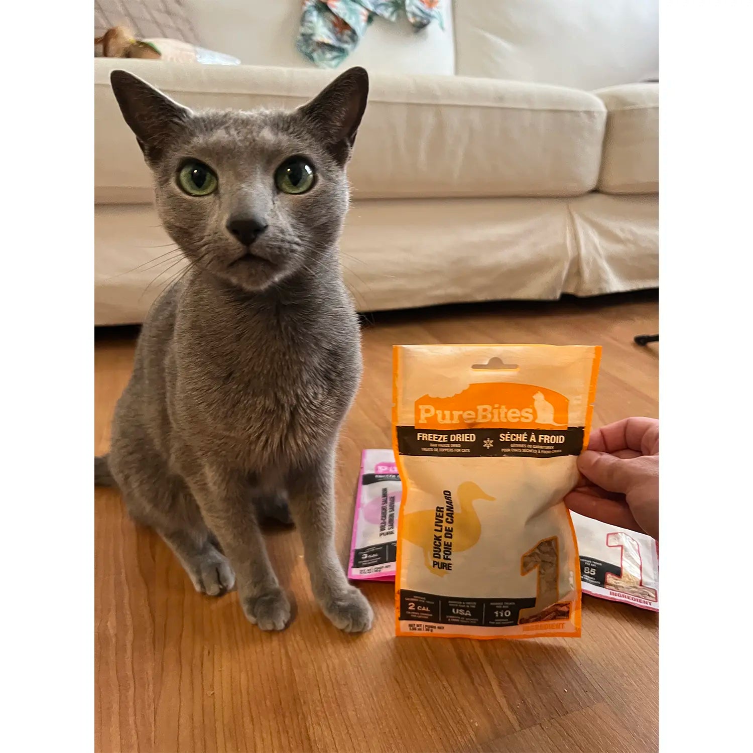 LifeStyle 1 of PureBites Duck Liver Freeze-Dried Cat Treats 1.05-oz