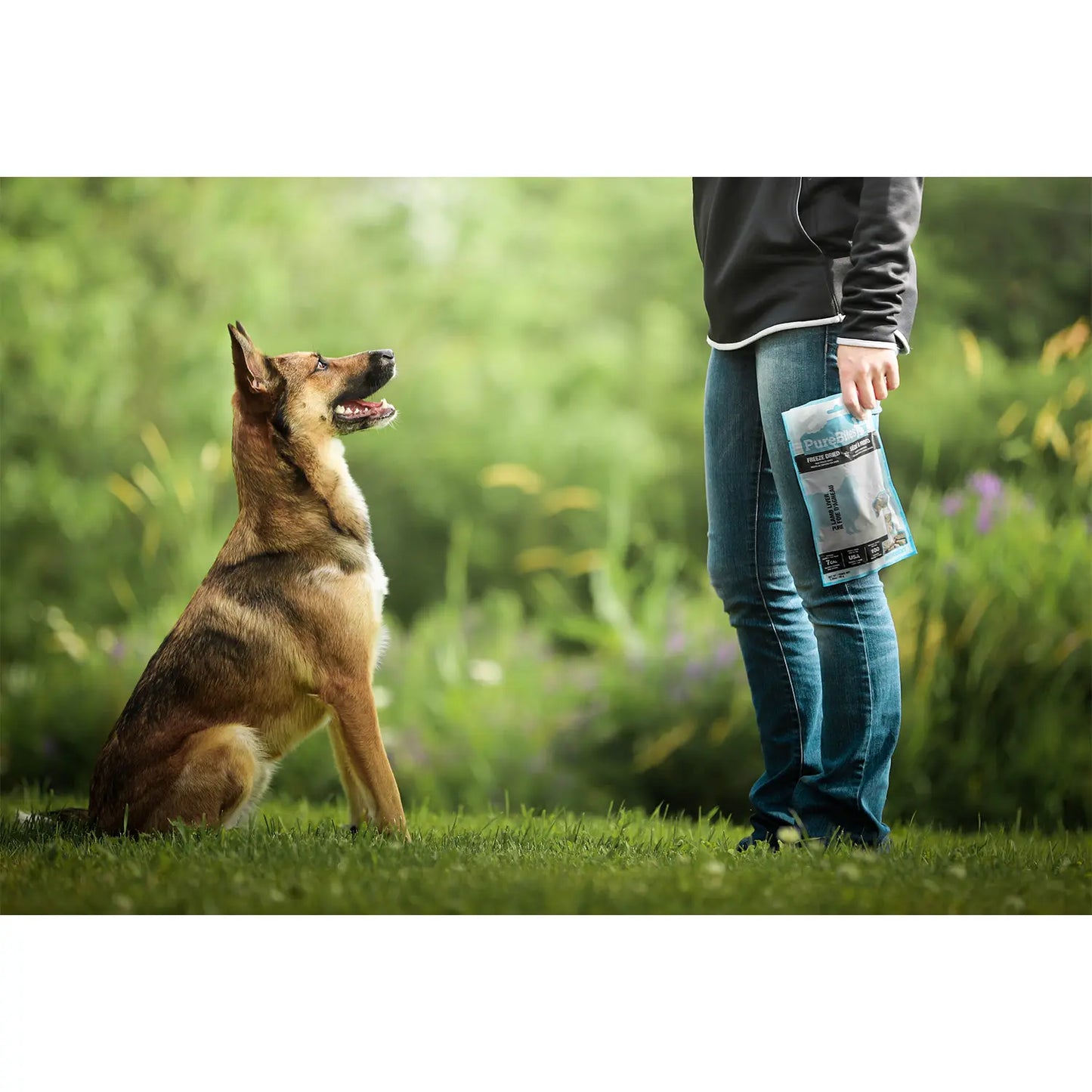 LifeStyle 2 of PureBites Lamb Liver Freeze Dried Dog Treats 3.35-oz