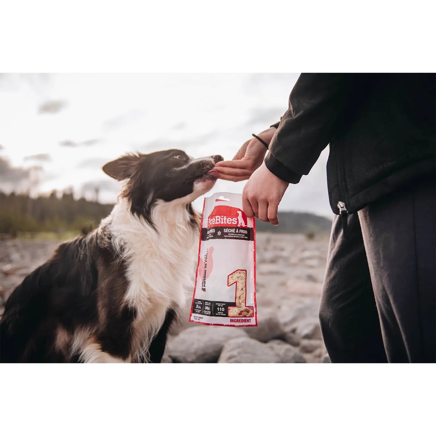 LifeStyle 2 of PureBites Chicken Breast Freeze-Dried Dog Treats 1.4-oz