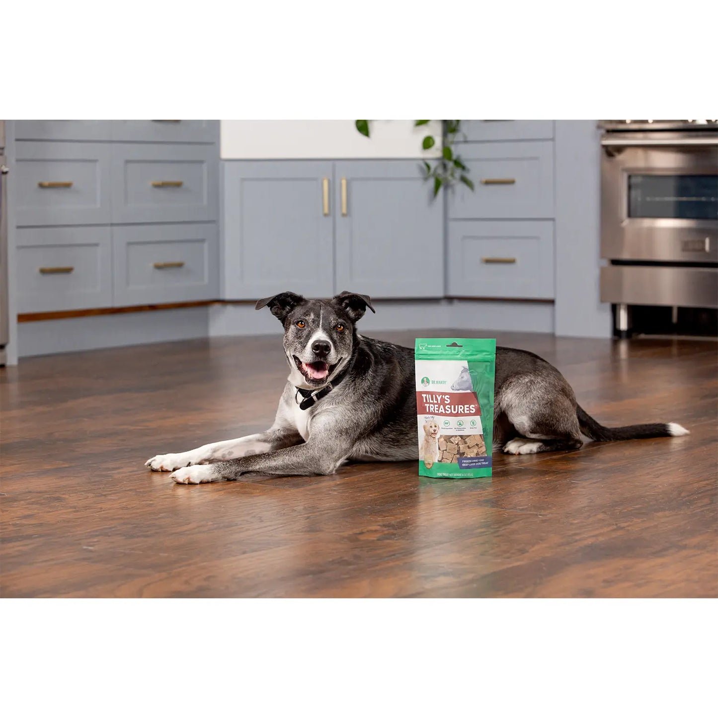 LifeStyle 2 of Dr. Marty Tilly's Treasures Freeze-Dried Dog Treats Beef Liver 4-oz