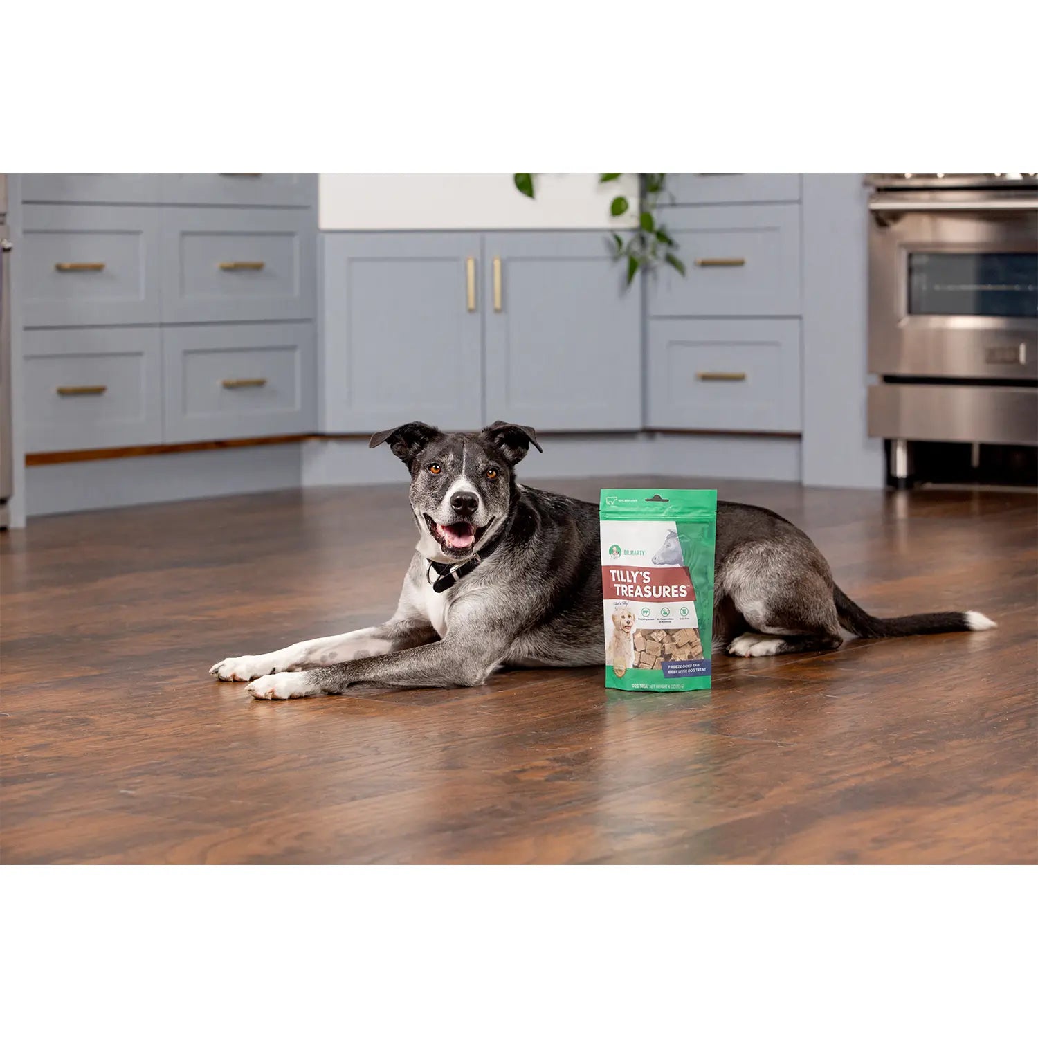 LifeStyle 2 of Dr. Marty Tilly's Treasures Freeze-Dried Dog Treats Beef Liver 4-oz