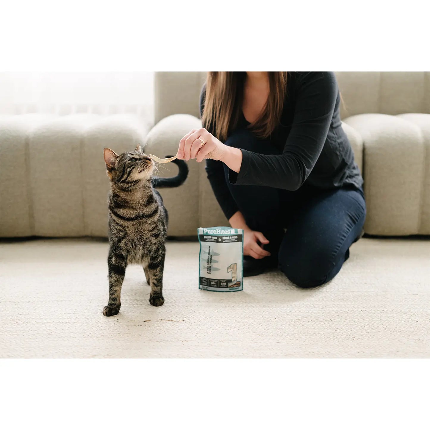 LifeStyle 2 of PureBites Wild-Caught Minnow Freeze-Dried Pure Cat Treats 1.09-oz