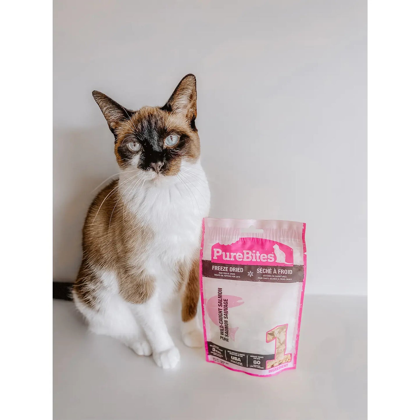 LifeStyle 2 of PureBites Wild Pacific Salmon Freeze-Dried Cat Treats 0.92-oz