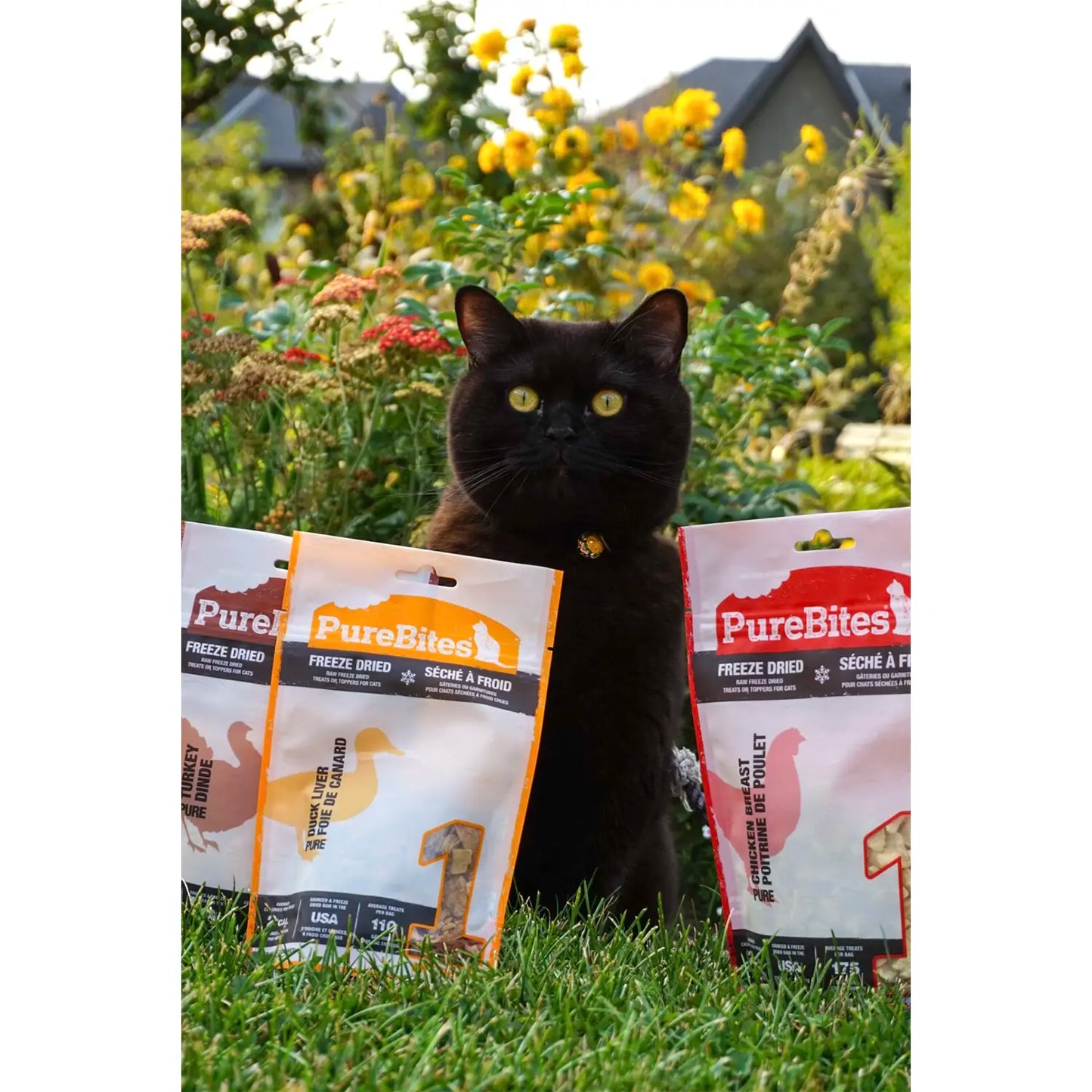 LifeStyle 2 of PureBites Duck Liver Freeze-Dried Cat Treats 1.05-oz
