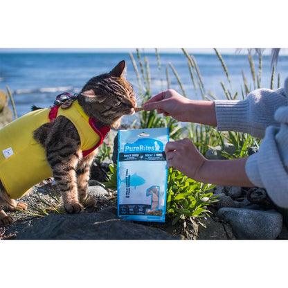 LifeStyle of PureBites Wild-Caught Tuna Freeze-Dried Cat Treats 1.8-oz