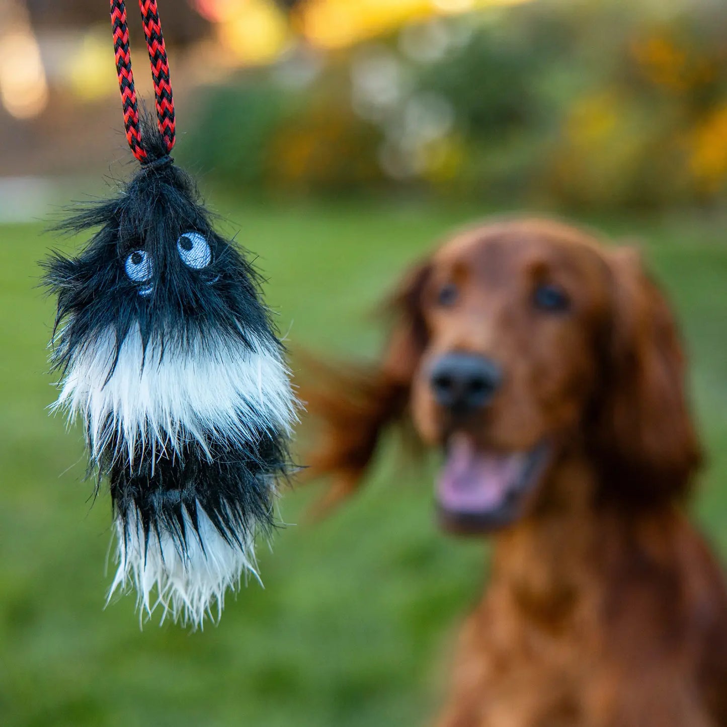 LifeStyle of Outward Hound Tail Teaser Dog Wand Toy with Refill Multicolor