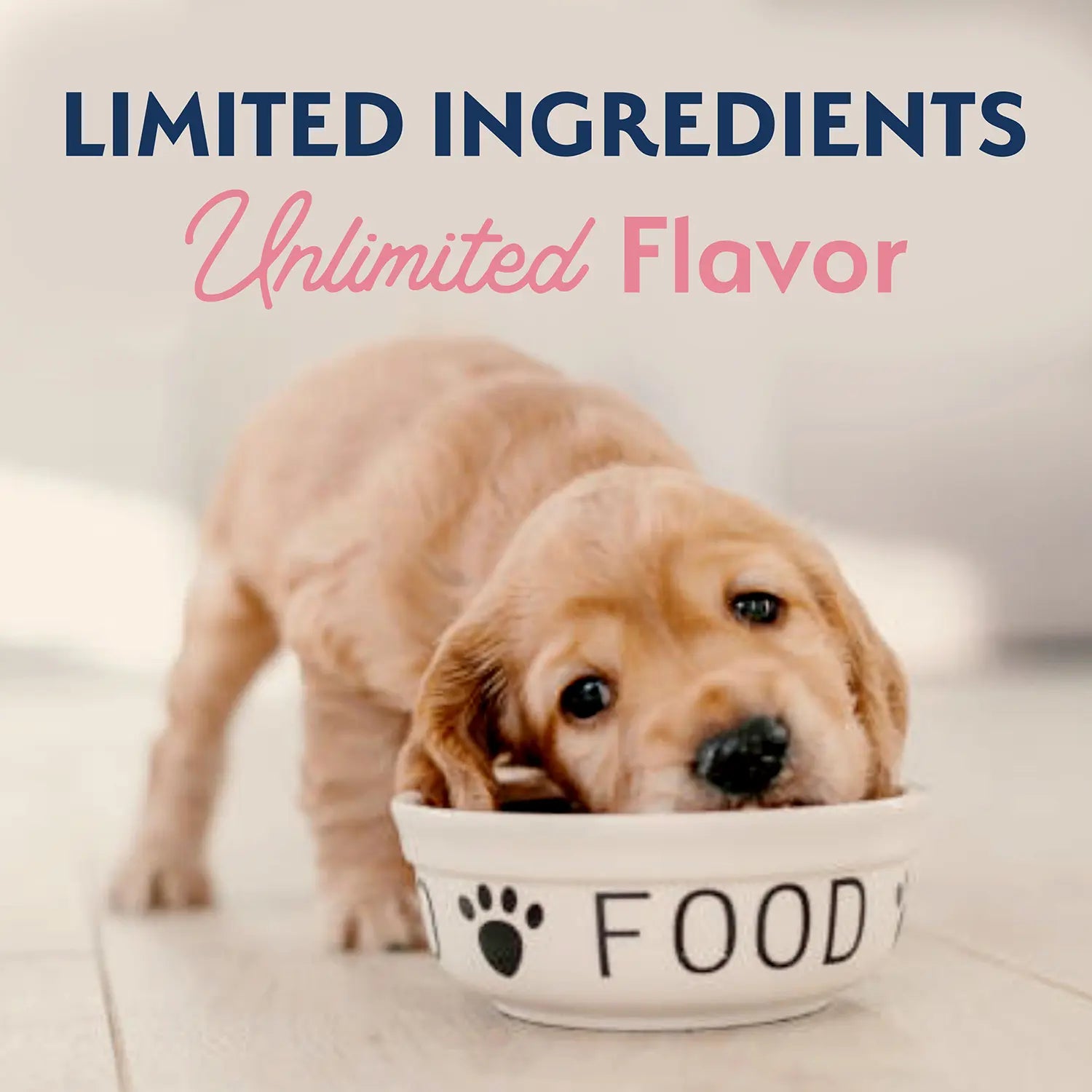 LifeStyle of Natural Balance Pet Foods Limited Ingredient Puppy Dry Food Salmon & Brown Rice 24-lb