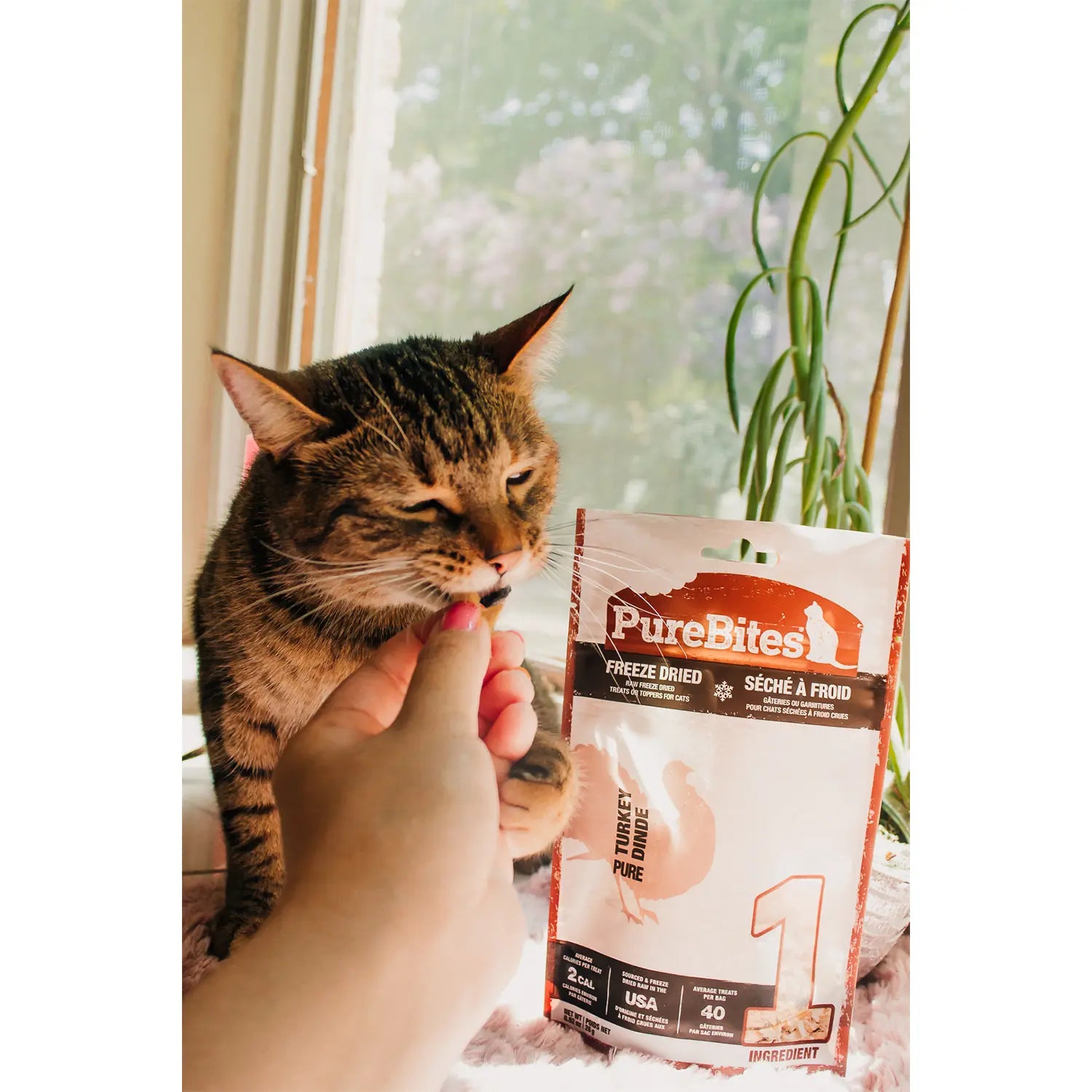 LifeStyle of PureBites Turkey Breast Freeze-Dried Cat Treats 0.92-oz